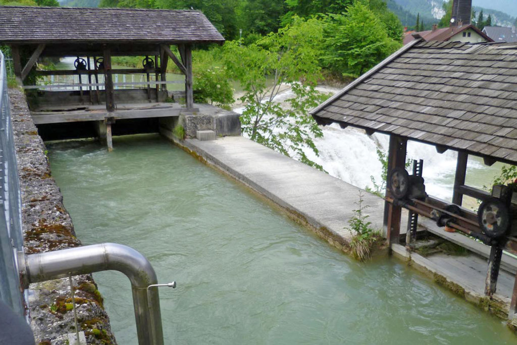 Wasserschnecke am Bergwirtwehr Kiefersfelden - Einlaufwehr